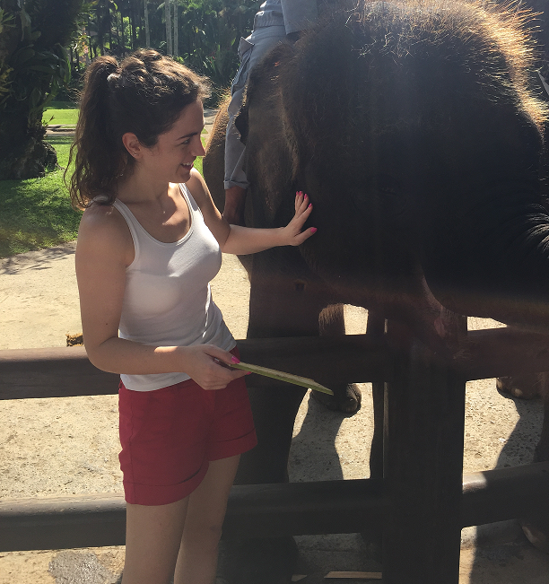 Taro elephant park