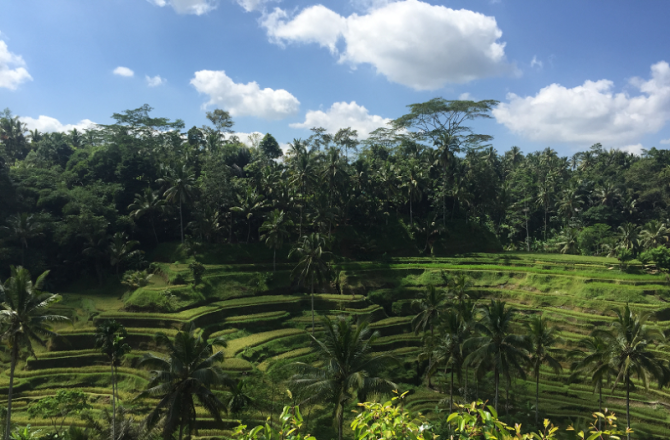 Bezienswaardigheden in Bali